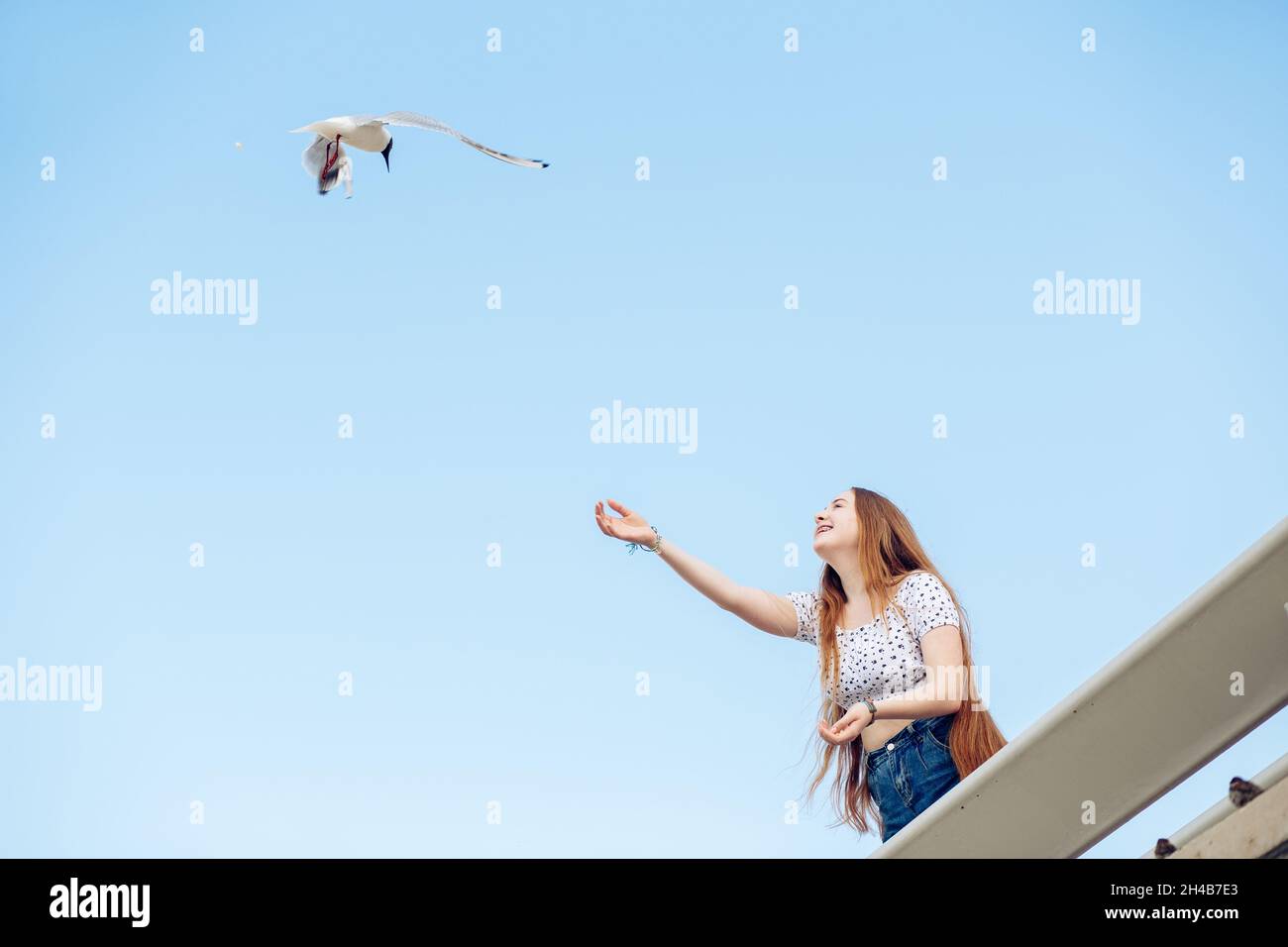 Ginger teen Mädchen Fütterung Möwen auf dem blauen Himmel Hintergrund Stockfoto