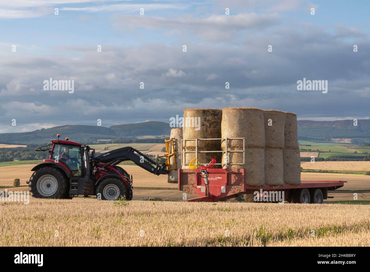Ein Blick auf die Landschaft von Aberdeenshire als Farmer in einem Valtra-Traktor lädt einen Trailer mit Strohballen in Autumn Sunshine Stockfoto