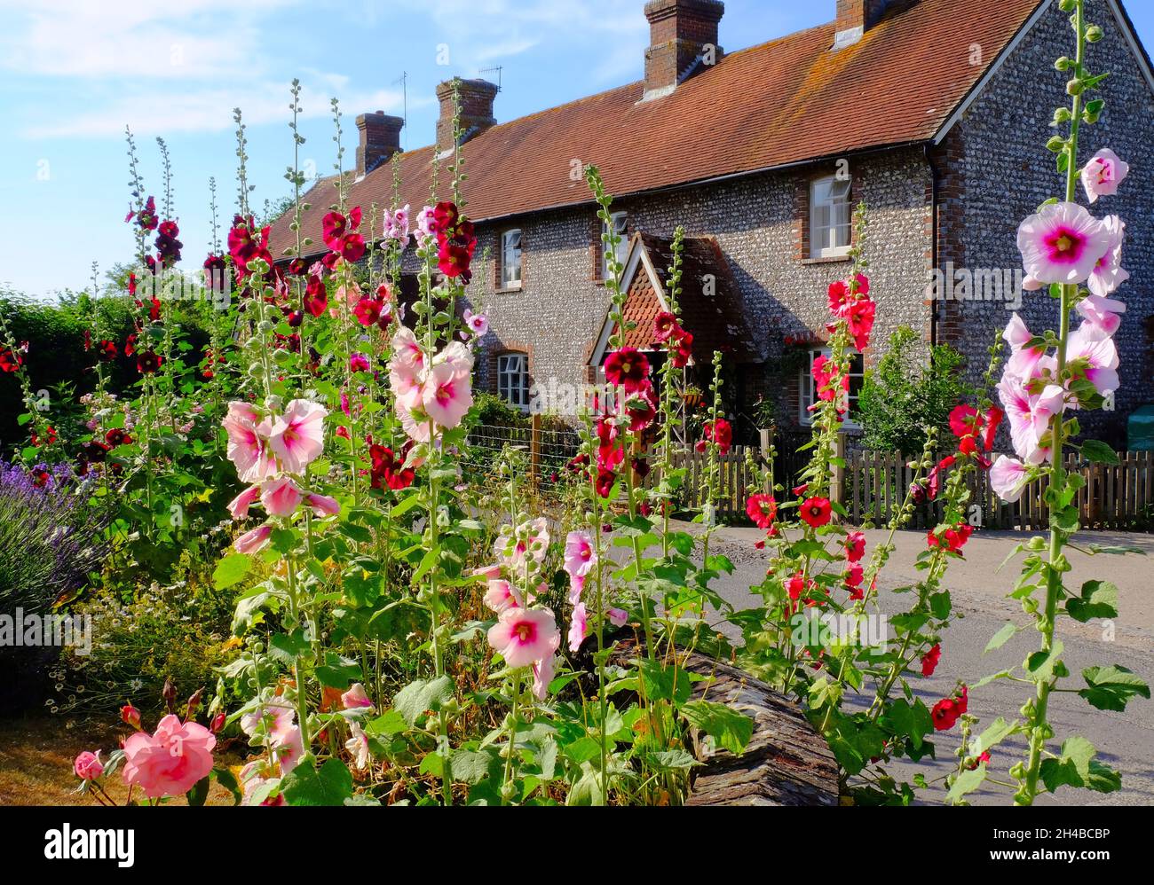 Traditionelle Steinhütten aus Feuerstein und farbenfrohe, rote und rosafarbene Hollyhocks in Charlton auf dem South Downs Way in West Sussex, England Stockfoto