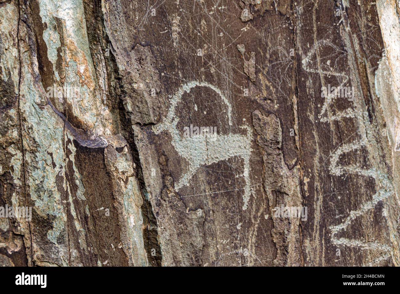 Eine Silhouettenzeichnung einer Ziege, die von einem längst verstorbenen Autor detailliert auf einen Steinfelsen geschnitzt und bis heute gut erhalten ist Stockfoto