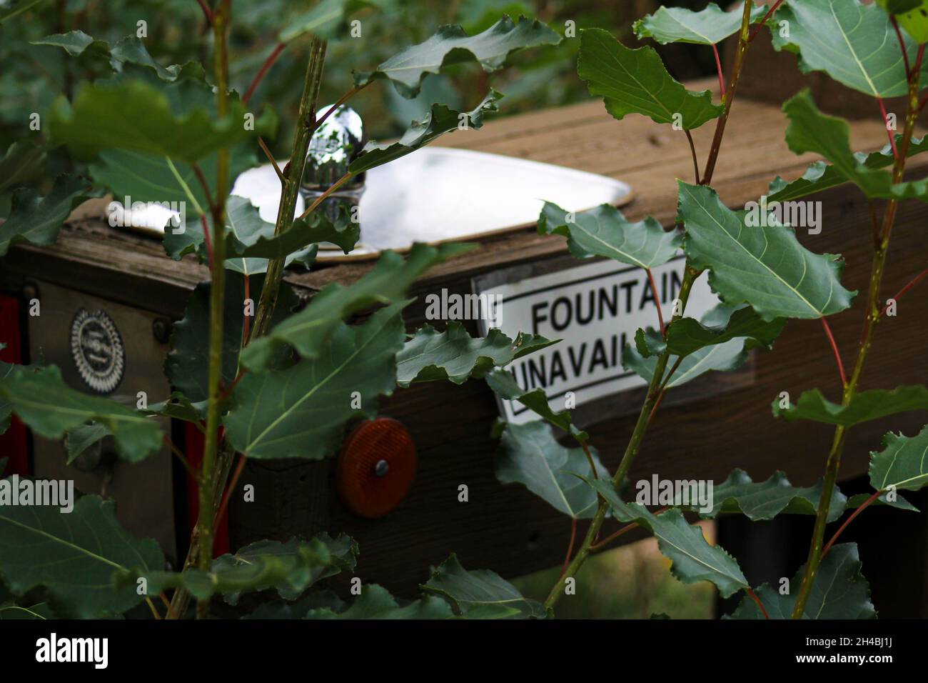Nicht verfügbarer Brunnen im Wald verlassen Stockfoto