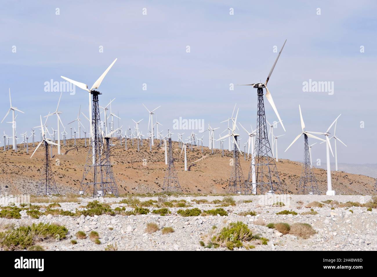 Massiver Windpark zur Stromerzeugung in Palm Desert, Kalifornien Stockfoto