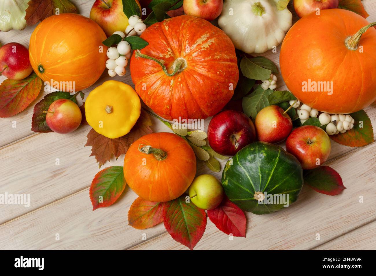 Herbsthintergrund mit orangefarbenem, rotem, grünem Kürbis und Blättern von oben Stockfoto