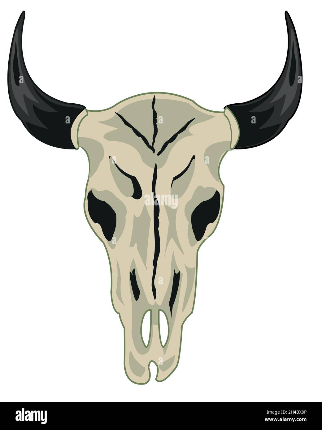 Vektor-Illustration des Schädels Haustiere Kuh Typ frontal Stock Vektor