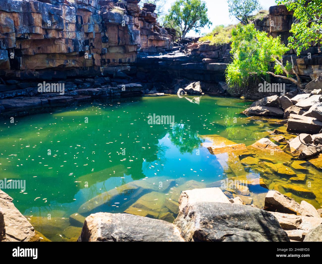 Wasserloch bei Lily Pools, Charnley River Station, West Kimberley. Stockfoto