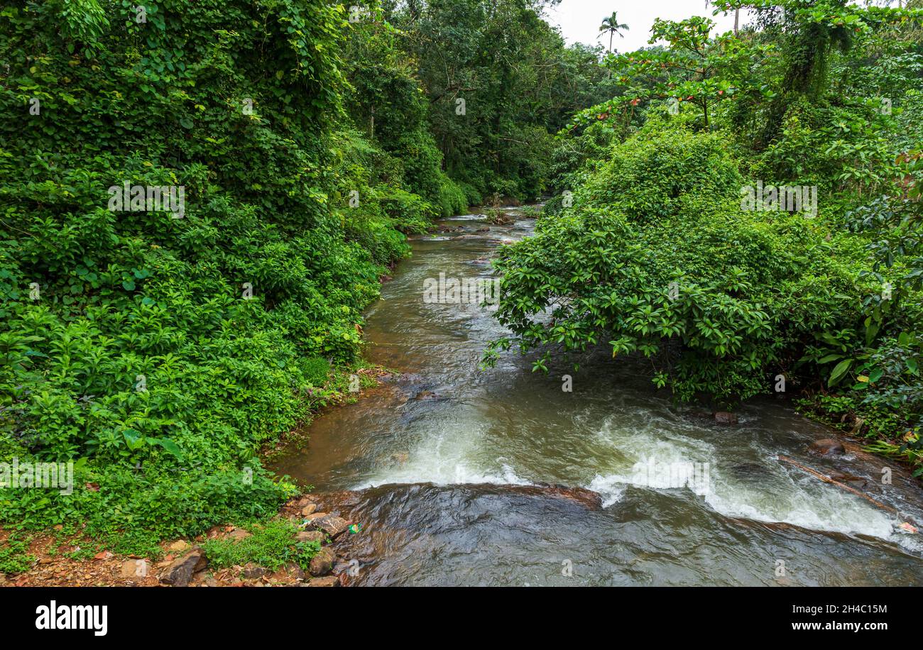Aruvikuzhy Wasserfälle Kottayam Kerala Indien Stockfoto