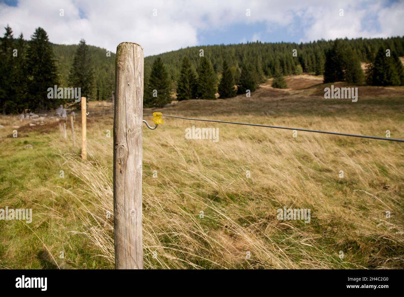 Elektrozaun umzäunt eine Wiese auf dem Feldberg im Schwarzwald Stockfoto