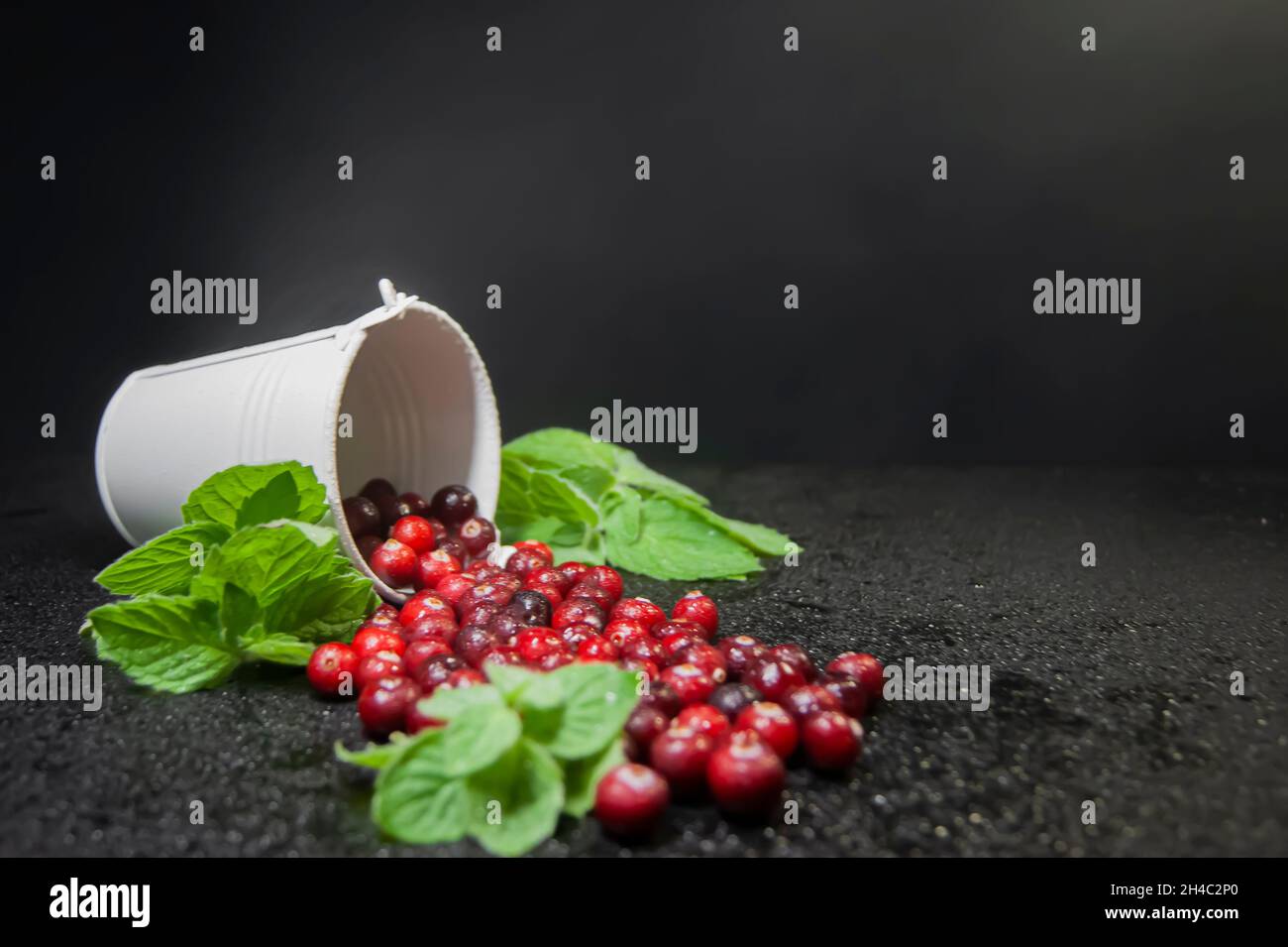 Preiselbeeren mit Minze werden aus dem weißen Eimer geströmt. Dunkler Hintergrund. Das Foto ist mit einem leichten Dunst von Mikrowassertröpfchen bedeckt Stockfoto
