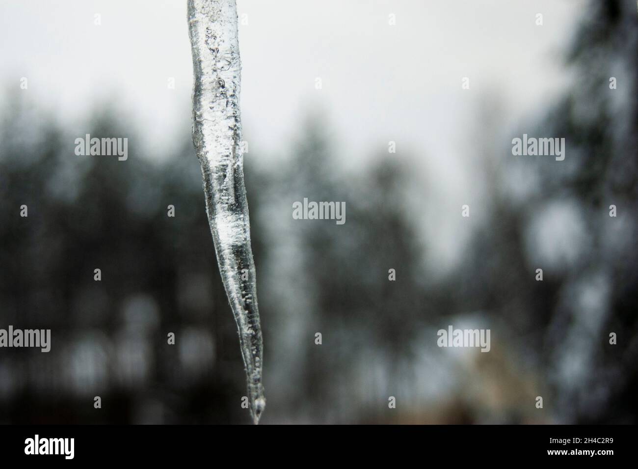 Düstere Eiszapfen schmelzenden Schnee. Winter Ade, Hallo Frühling Stockfoto