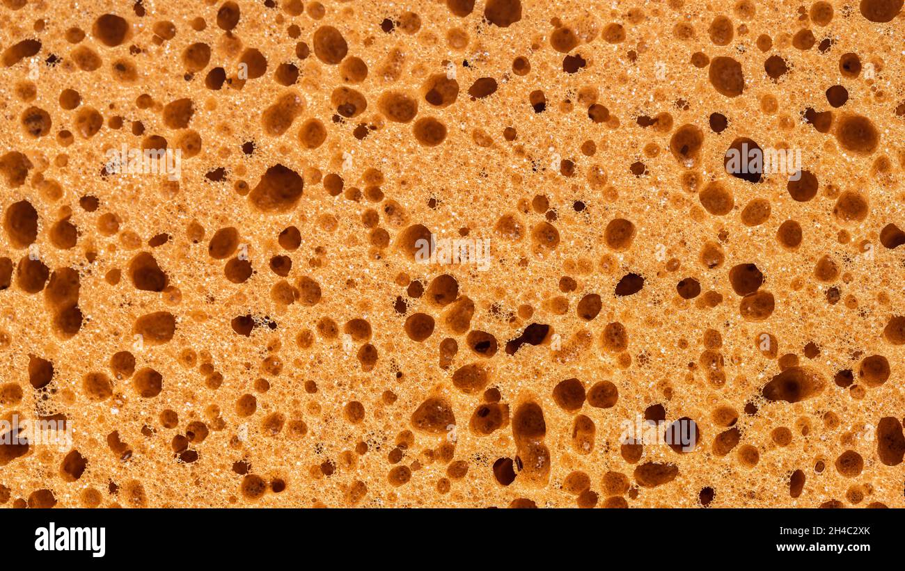 Hintergrund von Textur beige Schwamm Nahaufnahme Stockfoto