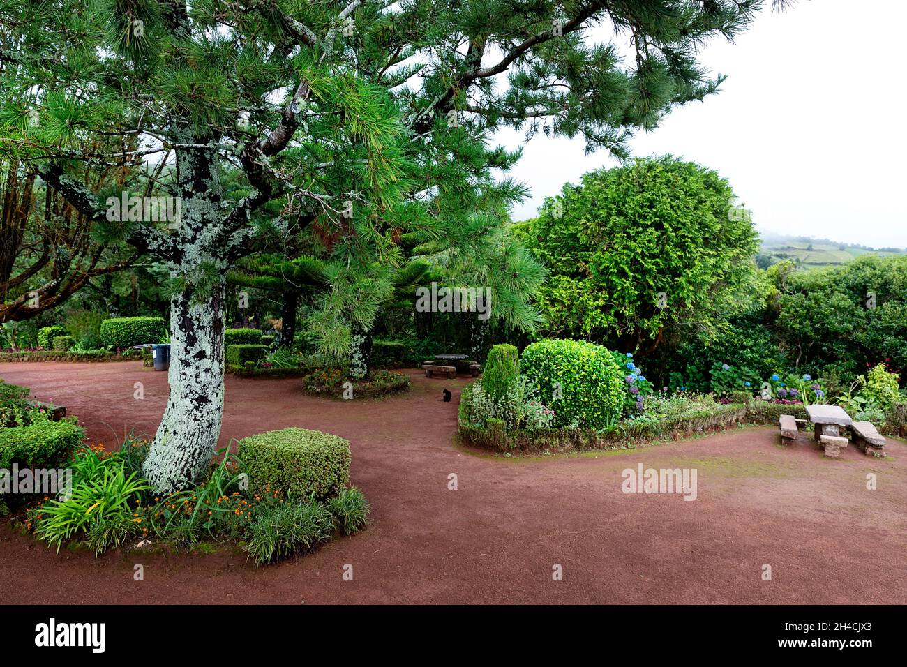 Gärten und eine Sitzbank im Ruheraum Miradouro da Ponta do Sossego auf der Insel Sao Miguel auf den Azoren, Portugal Stockfoto
