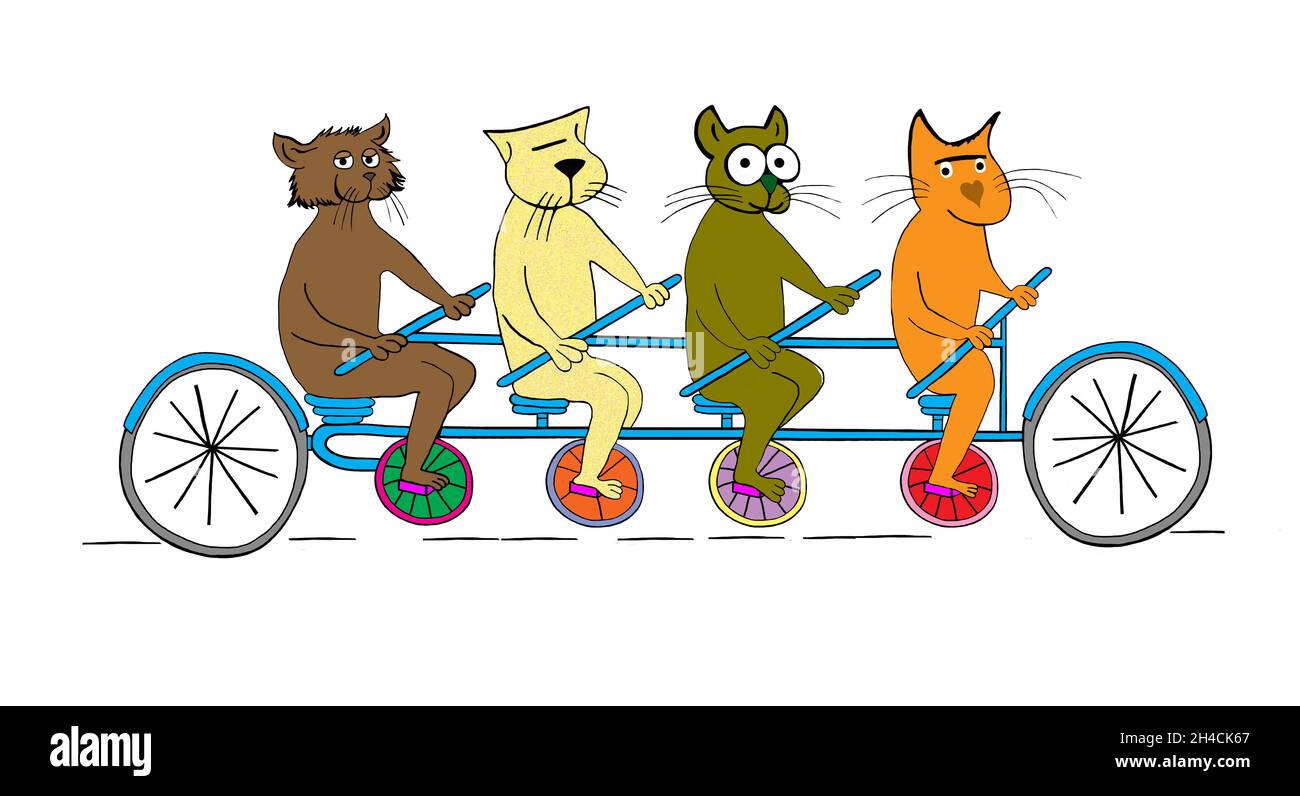 Katzen fahren im Tandem mit dem Fahrrad. Stockfoto