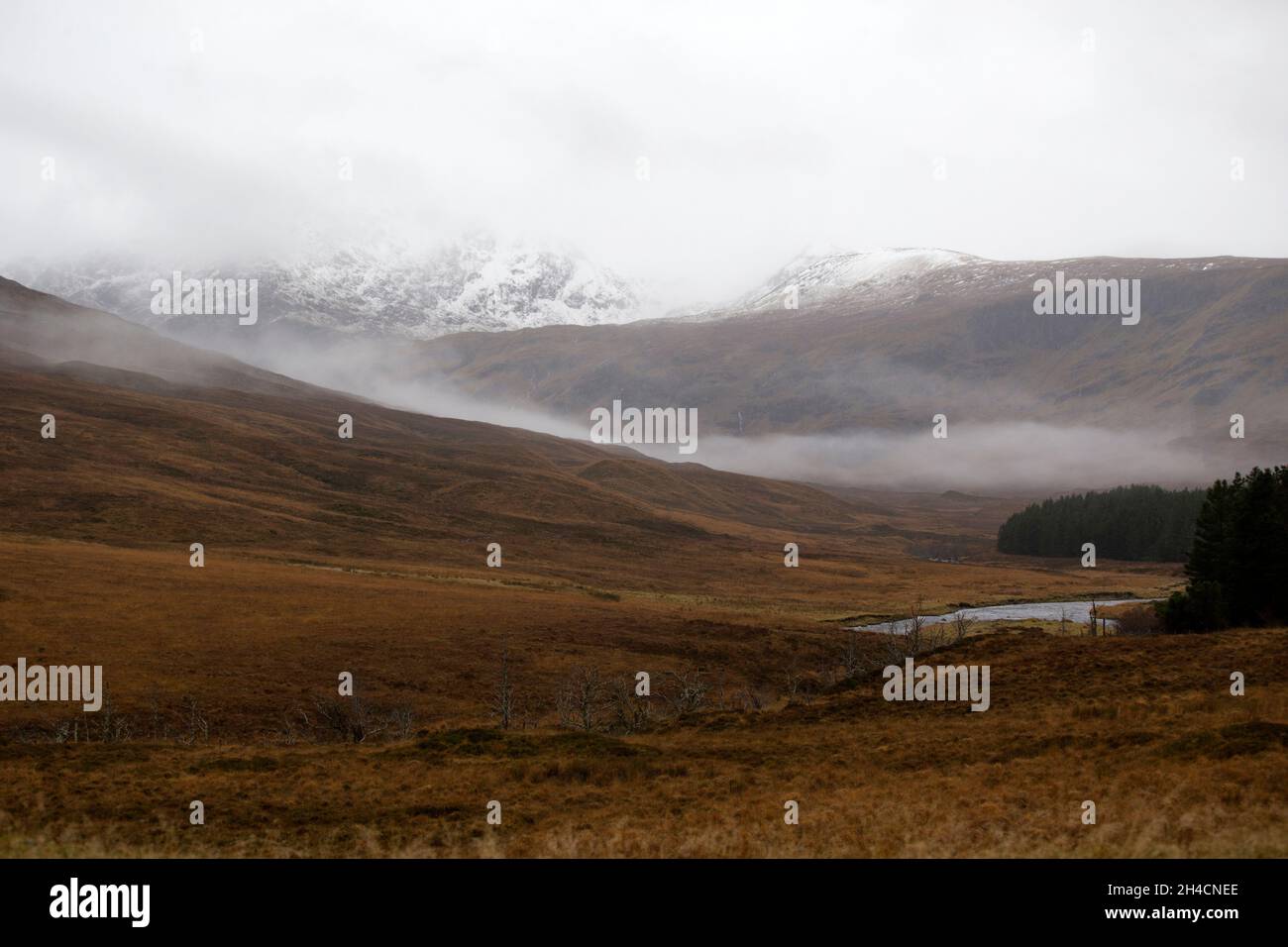 Grasland und Berge in der Nähe von Achanalt, Schottland Stockfoto