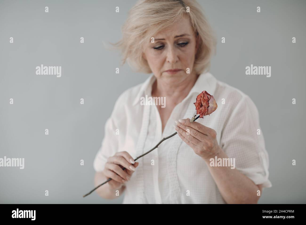 Traurige ältere Frau im weißen Hemd hält eine trockene, alte, tote Rosenblume. Alter und Alter konzeptuell Stockfoto