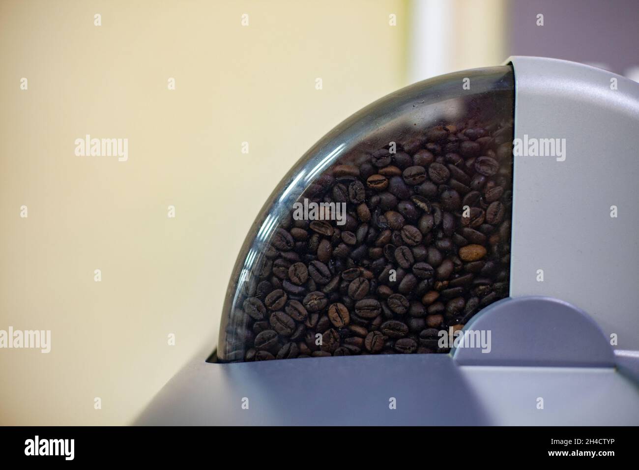 Kaffee in der Maschine. Kaffeebohnen in der Bürokaffeemaschine. Arabica in einem Kunststoffbehälter zum Mahlen von Körnern. Stockfoto