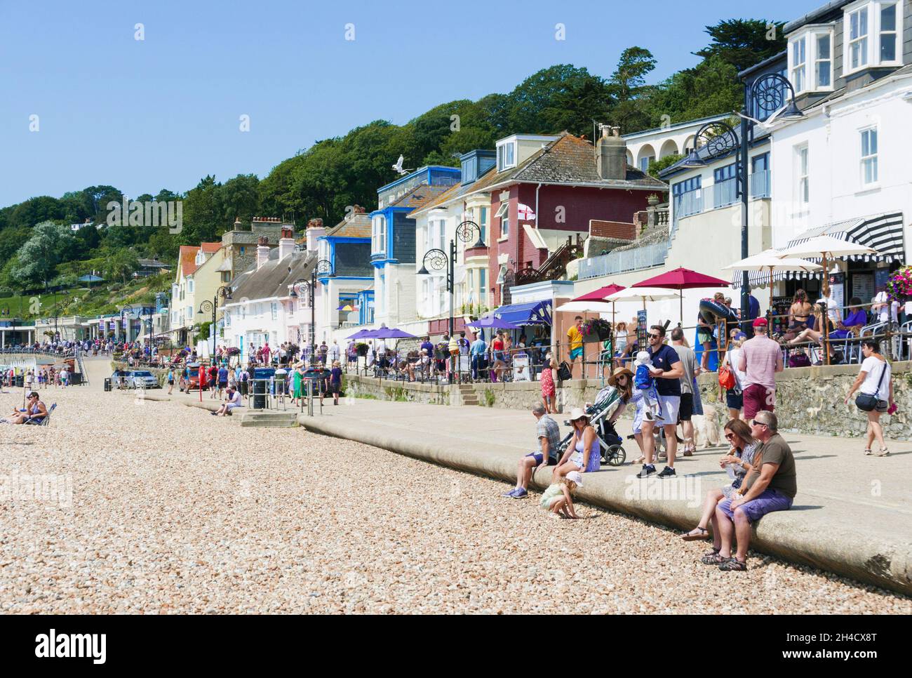 Lyme Regis der Kiesstrand am Sandstrand bei Lyme Regis Dorset England GB Europa Stockfoto