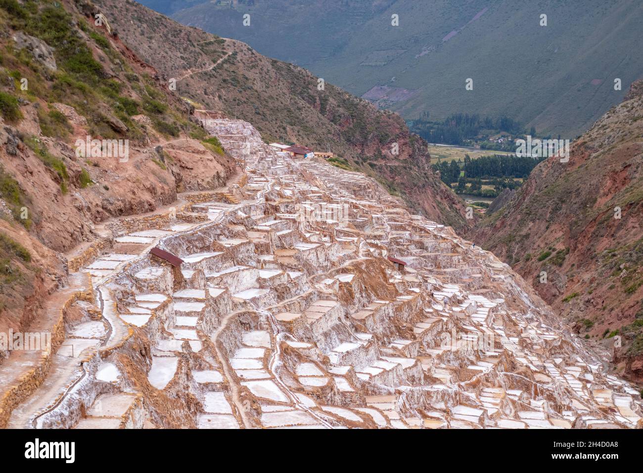 Blick auf die natürlichen Salzbecken in Las Salineras de Maras im Heiligen Tal von Cusco Stockfoto