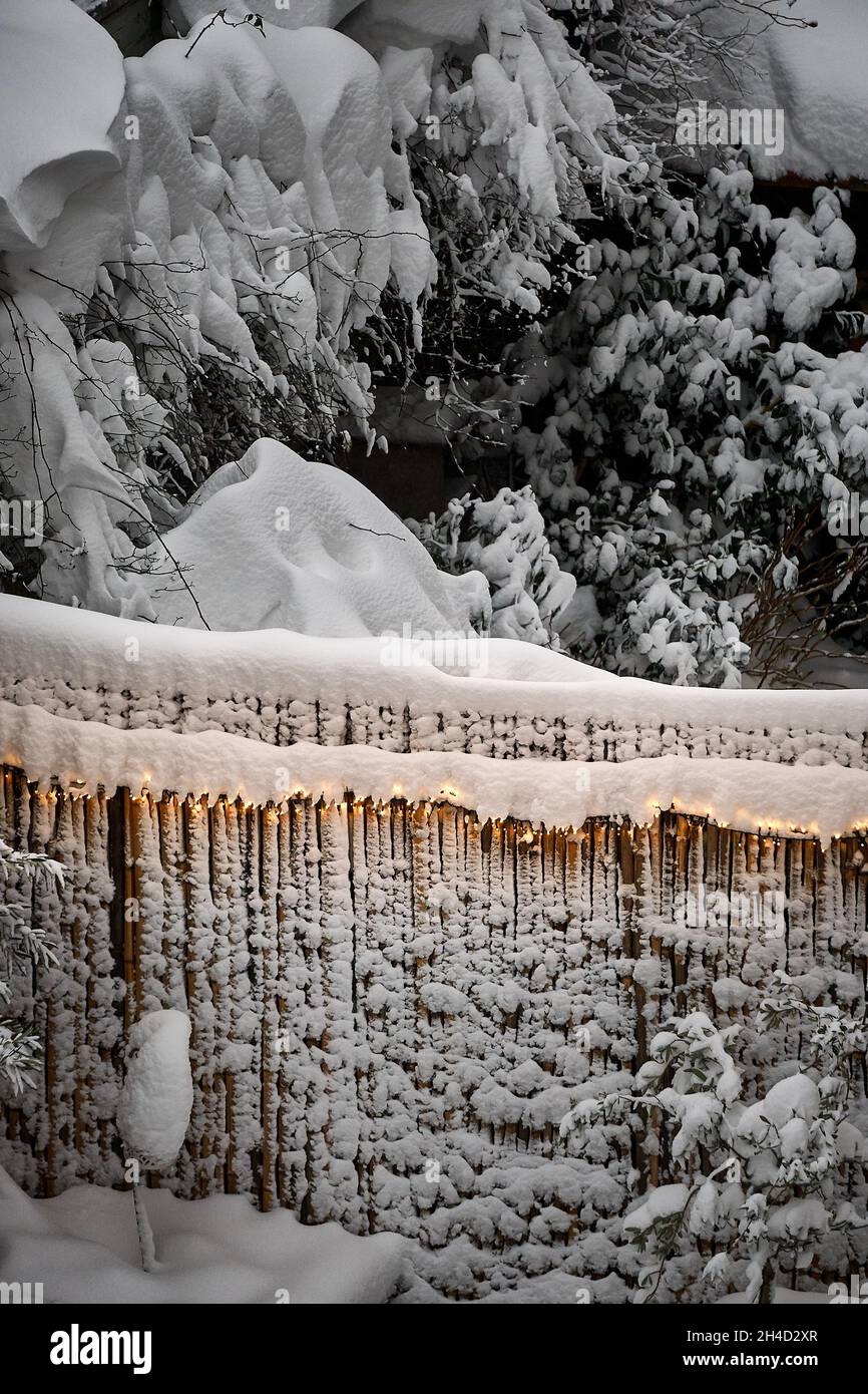 Winterwunderland mit Lichtern Stockfoto