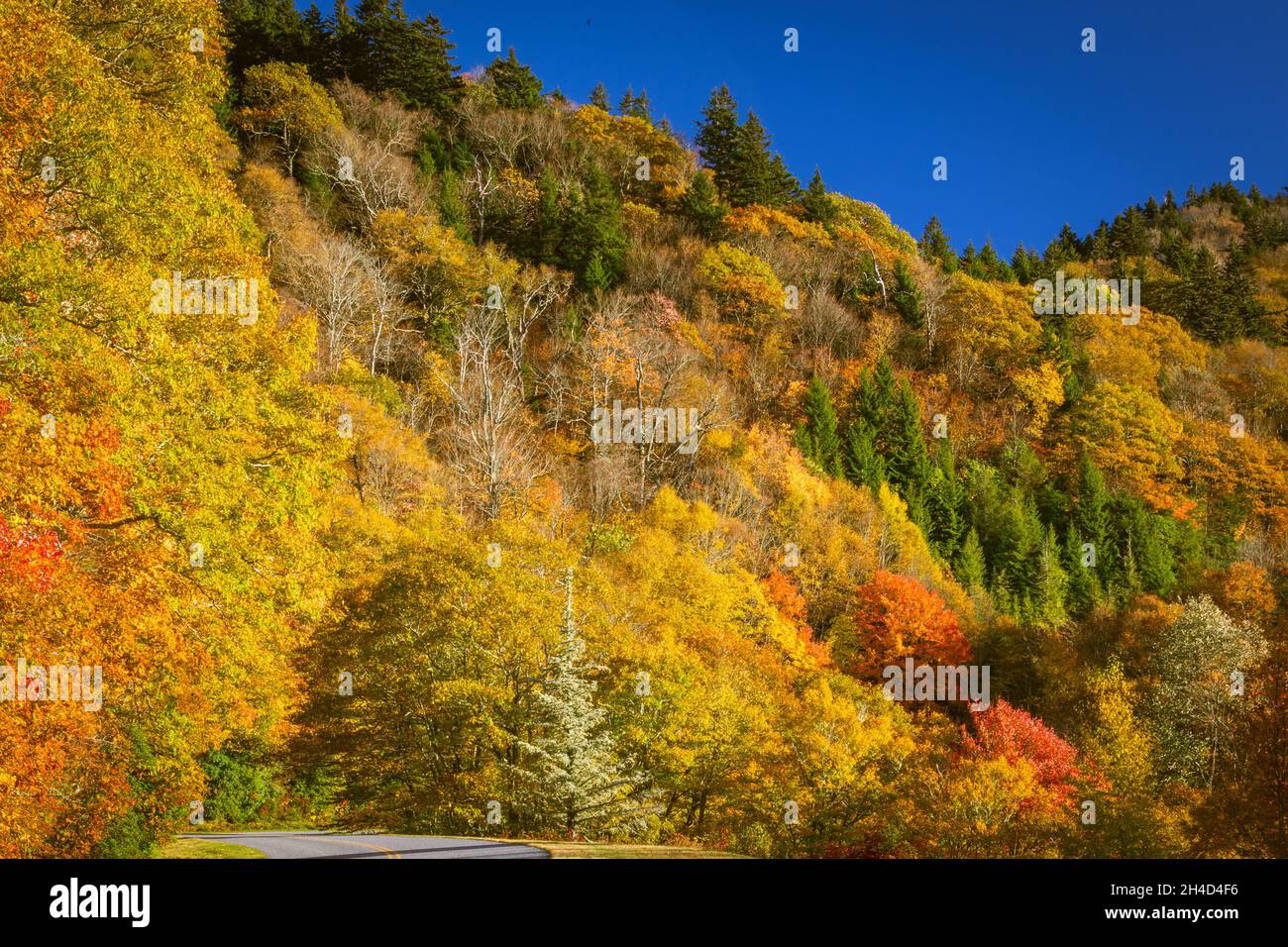 Herbst Farben Stockfoto