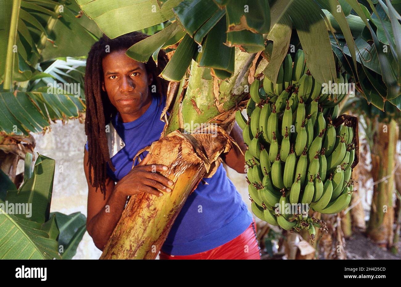 Eddy Grant bei seiner Baileys Plantation Barbados 1983 Stockfoto