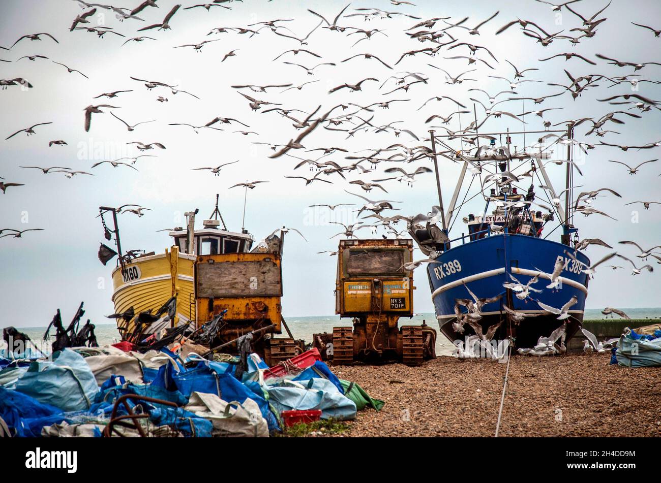 Hastings Fischerboote auf der Stade (Sachsen für Landeplatz). Hastings ist Großbritanniens ältester und Europas größter, vom Strand ausgelagerter Fischfang Stockfoto