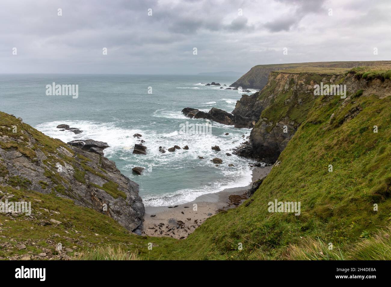 Mutton Cove in Cornwall. Vereinigtes Königreich Stockfoto