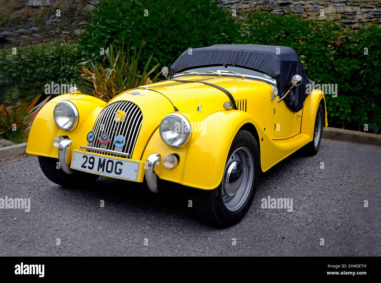 Morgan Plus Four Sportwagen, britisch Stockfoto