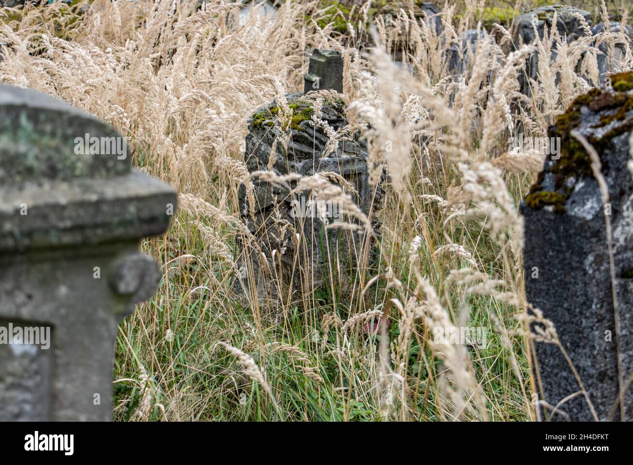 Alte Grabsteine auf einem ländlichen Friedhof, überwuchert mit hohem Gras Stockfoto