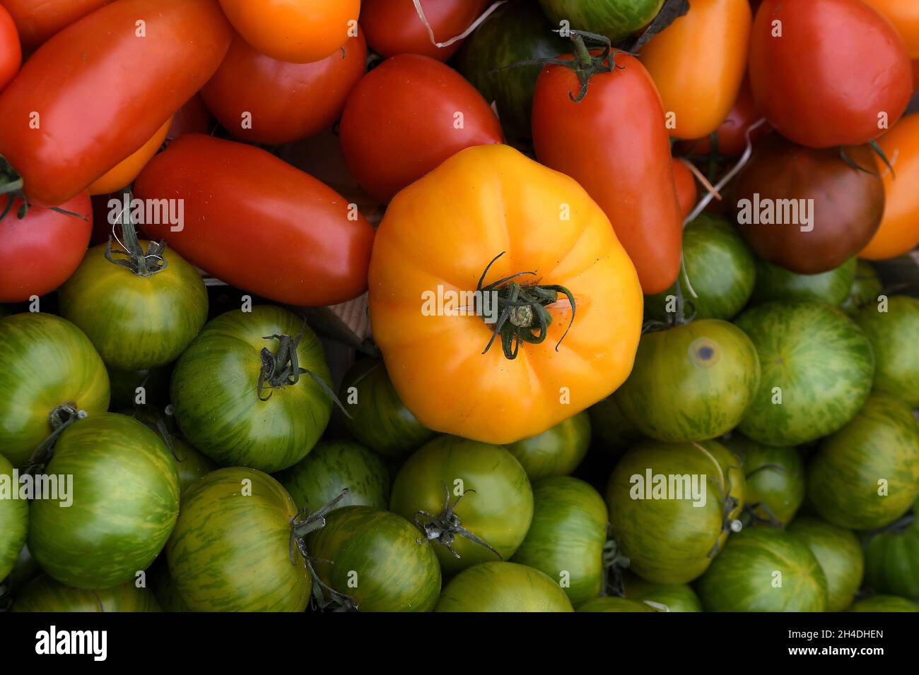 Kopenhagen, Dänemark.,02. November 2021, /Gemüse- und Obstkunden bei Obst und Gemüse in Torvhallerne in der dänischen Hauptstadt.(Foto..Francis Joseph Dean/Dean Pictions) Stockfoto