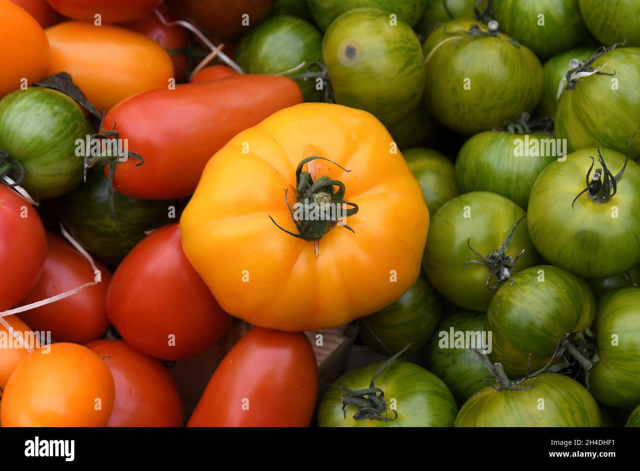 Kopenhagen, Dänemark.,02. November 2021, /Gemüse- und Obstkunden bei Obst und Gemüse in Torvhallerne in der dänischen Hauptstadt.(Foto..Francis Joseph Dean/Dean Pictions) Stockfoto