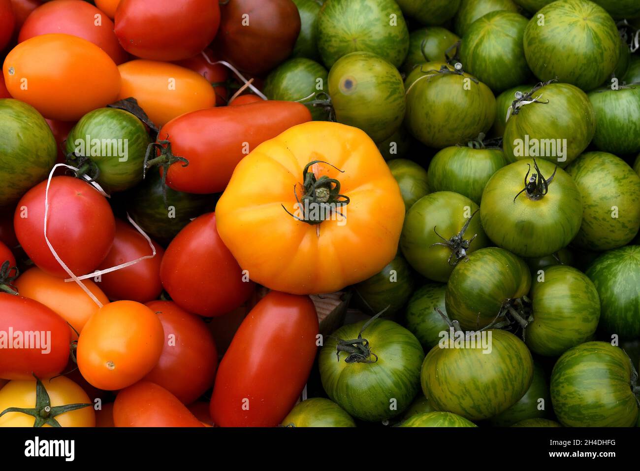 Kopenhagen, Dänemark.,02. November 2021, /Gemüse- und Obstkunden bei Obst und Gemüse in Torvhallerne in der dänischen Hauptstadt.(Foto..Francis Joseph Dean/Dean Pictions) Stockfoto