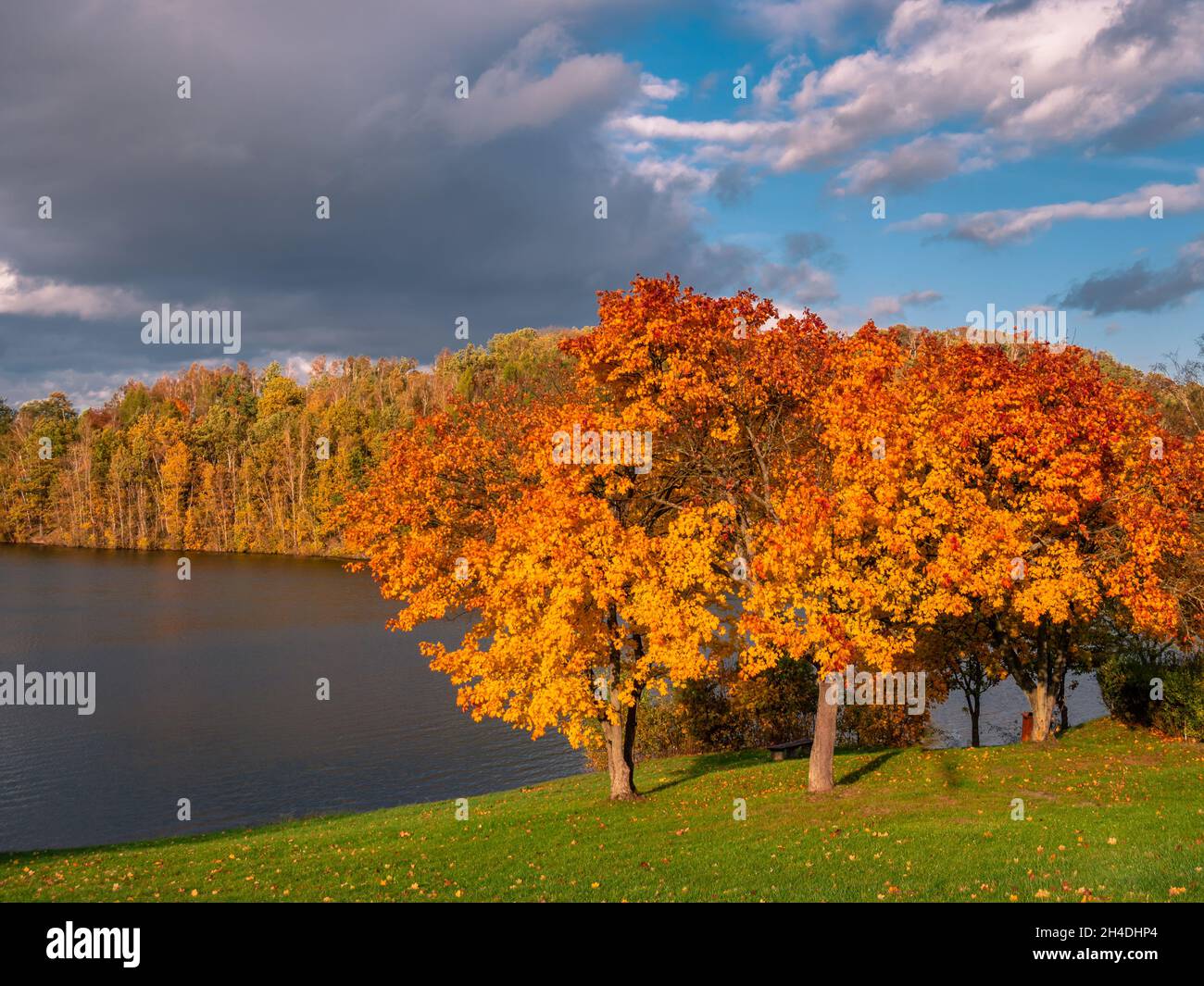 Farbenfrohe Panorama-Landschaft Aufnahme eines Sees im Herbst Stockfoto