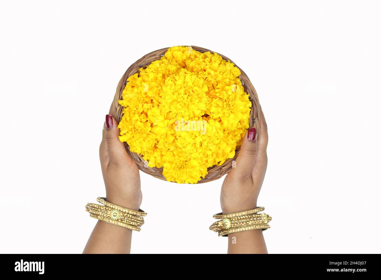 Hände Des Mädchens In Bangles Chhodi Hält Gelbe Ringelblumen Im Korb Namens Genda Phool Ki Puja Tokri Oder Dalia Für Religiöse Opfer Auf Shubh De Stockfoto