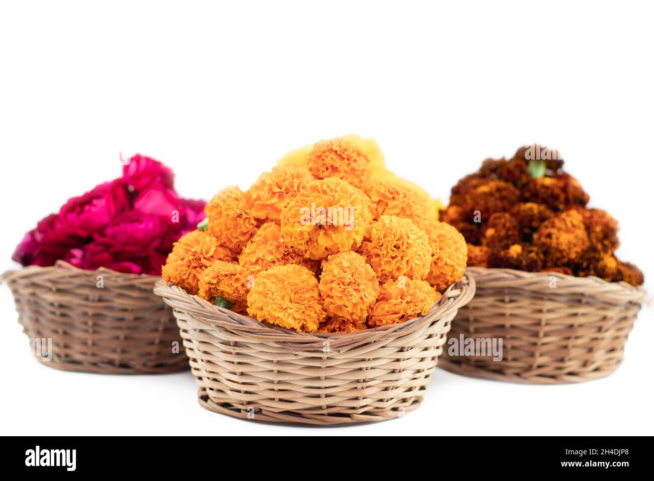 Orange Ringelblume Blumen im Bambuskorb genannt Genda Phool Ki Puja Tokri oder Dalia für Dekoration und Darbringung an Hindu-Gott während Festivals viz. Shub Stockfoto