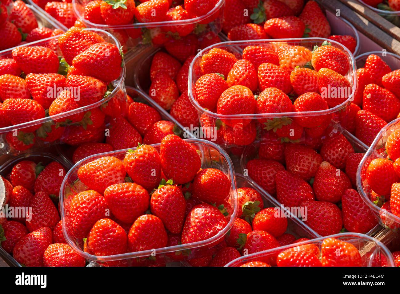 Italien, Lombardei, Marktstand, Erdbeeren in Plastikbehältern Stockfoto