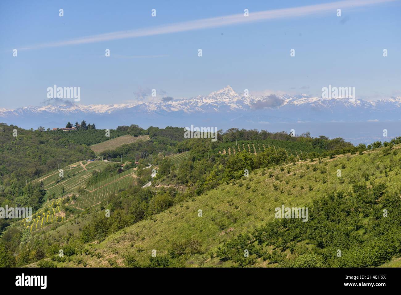 Langhe in der Nähe von Rocchetta Belbo, Piemont, Italien Stockfoto