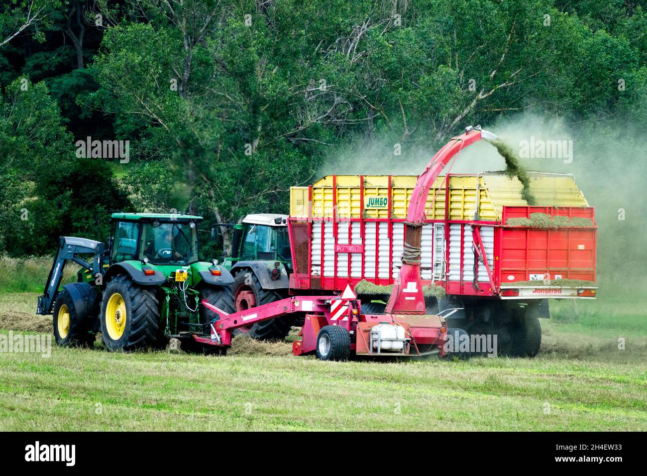 Der Traktor erntet trockenes Heu in einem Anhänger, erntet Heu, Wiesenfeld, Landmaschinen Stockfoto