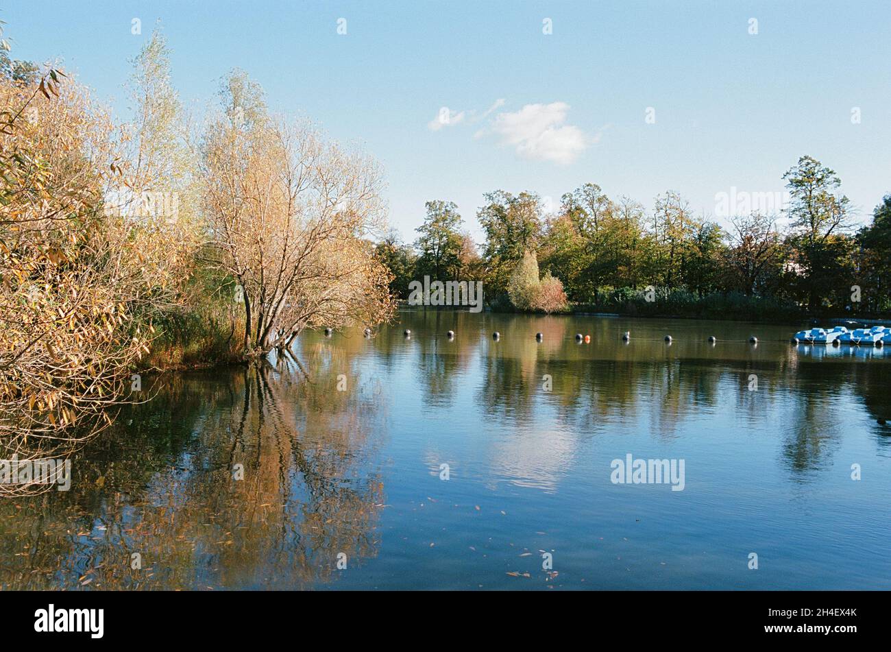 Der See mit Bootstouren im Crystal Palace Park, South East London, Großbritannien, im Herbst Stockfoto