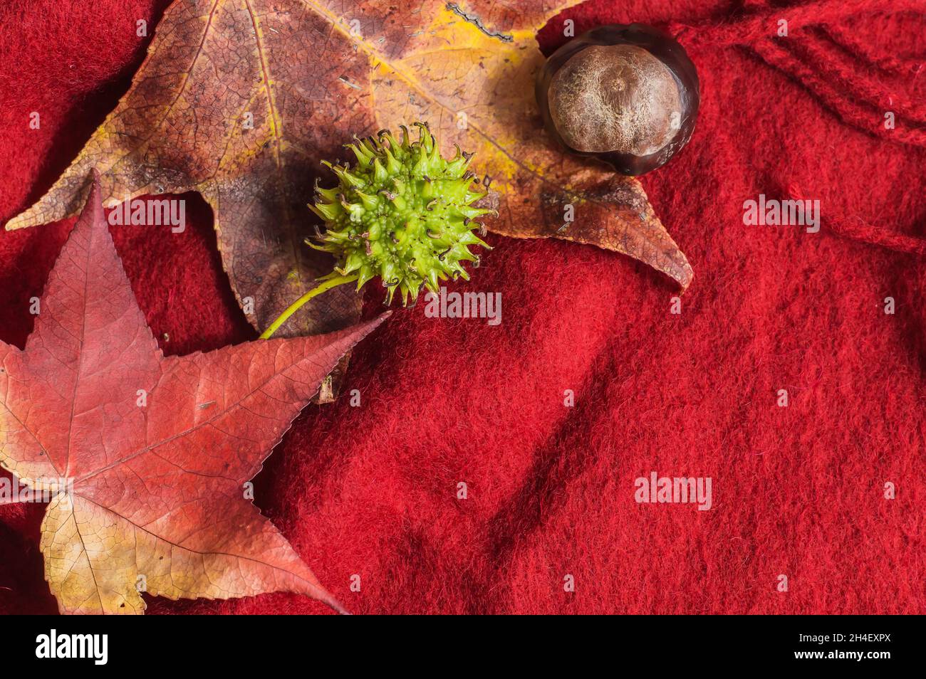 Herbstblätter und Kastanien auf einem weichen roten Hintergrund Draufsicht. Stockfoto