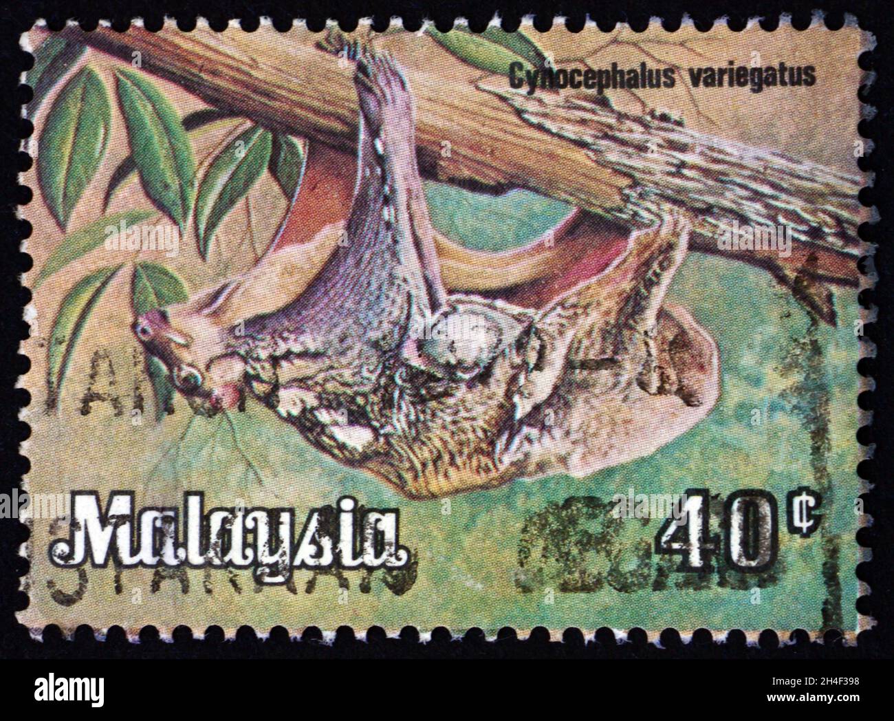 MALAYSIA - UM 1979: Eine in Malaysia gedruckte Marke zeigt Sunda Flying Lemur, Galeopterus variegates, eine Colugo-Art, die in Südostasien gefunden wurde, Stockfoto