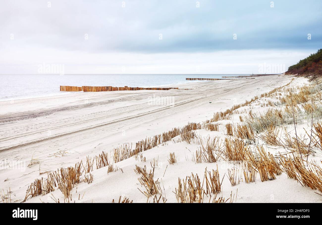 Dünen am Ostseestrand in Dziwnowek, selektiver Fokus, Polen. Stockfoto