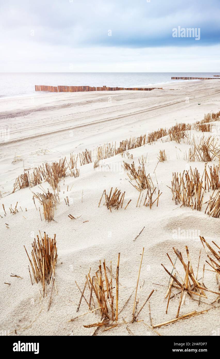 Dünen am Ostseestrand in Dziwnowek, selektiver Fokus, Polen. Stockfoto
