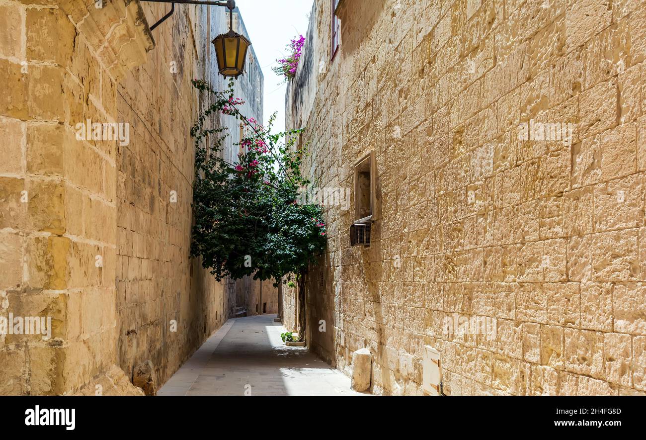 Typische Mdina Straße. Schmale mittelalterliche Straße von Mdina, auch als "stille Stadt" bekannt, gepflastert mit Steinplatten und mit gelben Kalkstein Mauern umgeben. Stockfoto