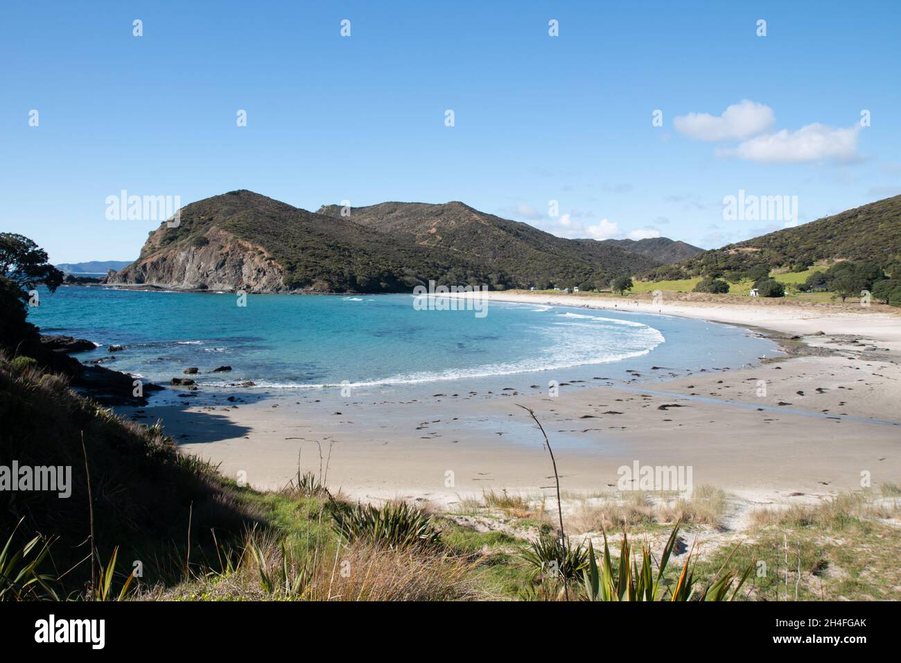 Blick über den weißen Sand am Tapotupotu Beach Cape Reinga, Neuseeland Stockfoto