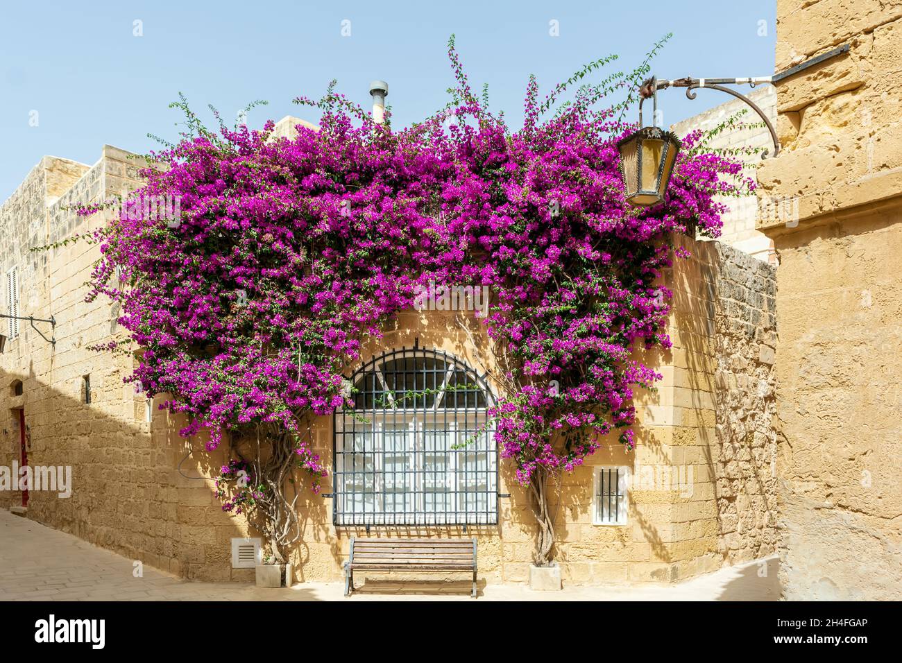 Das Fenster ist mit üppigen Bougainvillea-Zweigen überwuchert. Mdina-Architektur mit Bogenfenster, Vintage-Laterne und schleichenden Pflanzen. Stockfoto