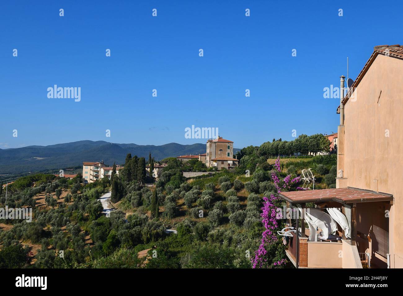 Panoramablick auf die toskanischen Hügel mit Häusern und Feldern in einem sonnigen Sommertag, Castagneto Carducci, Livorno, Toskana, Italien Stockfoto