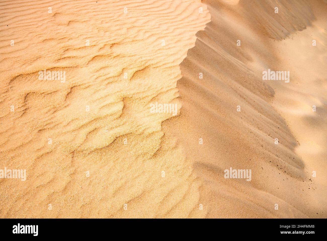Gelber Wüstensand mit kleiner Düne, die durch Luft gebildet wird Stockfoto