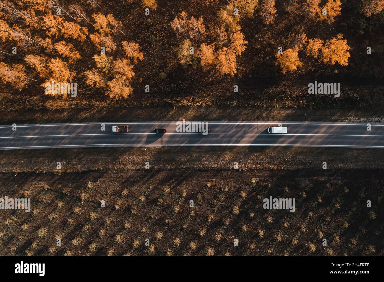 Luftaufnahme von LKW, Minivan und zwei Autos auf der Straße durch den Wald im Herbst, top down Drohne pov des Verkehrs auf der Straße in nicht-städtischen Landschaft Stockfoto