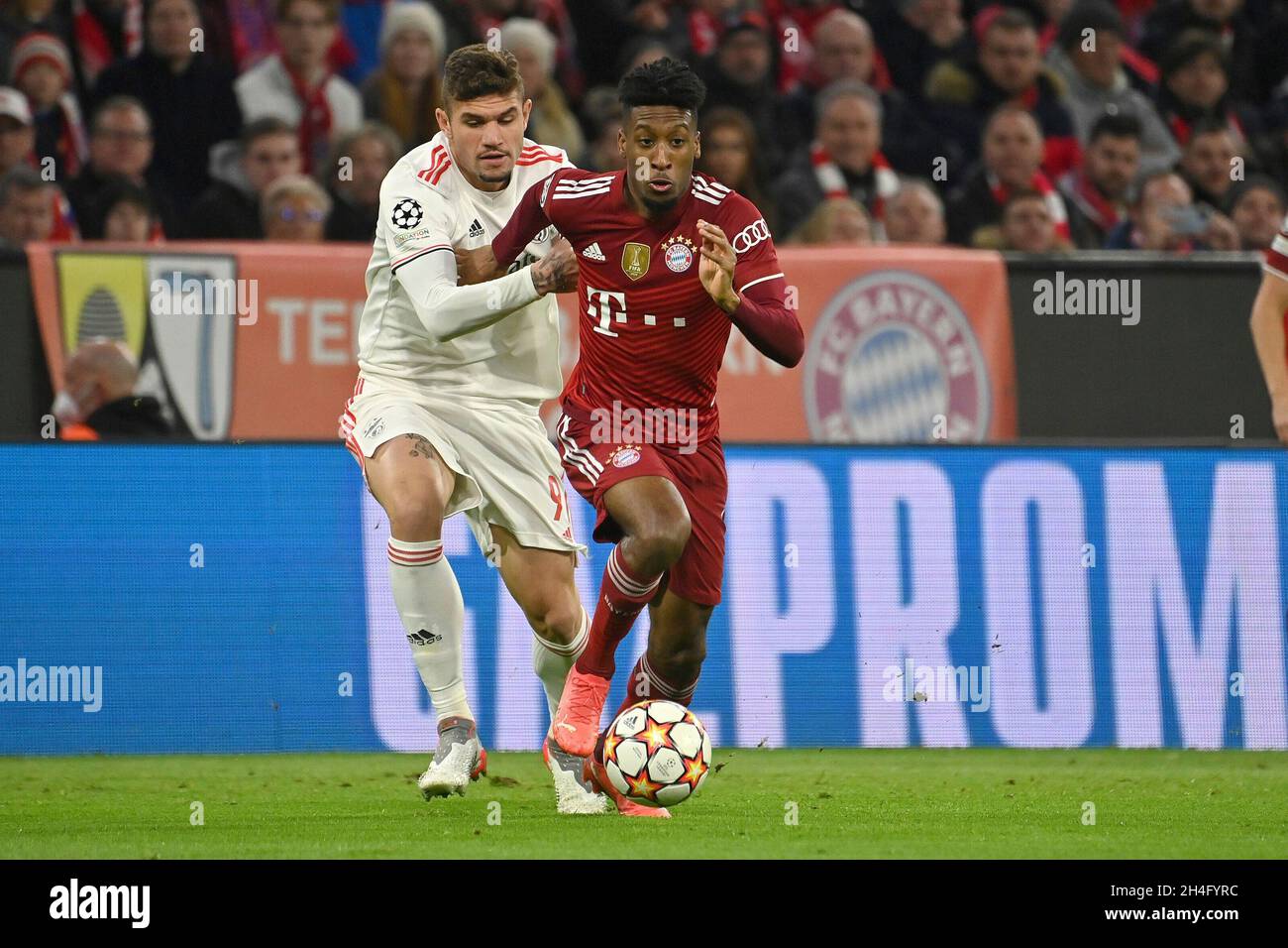 München, Deutschland. November 2021. Kingsley COMAN (FC Bayern München), Action, Duelle gegen Darvin NUNEZ (Lissabon). Soccer Champions League Gruppe E/FC Bayern München - SL Benfica Lisbon München am 2. November 2021 Quelle: dpa/Alamy Live News Stockfoto