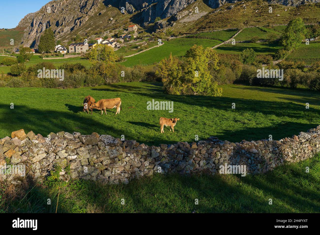 Herbstlandschaft in der Stadt Valle de Lago in Somiedo, Asturien. Spanien Stockfoto